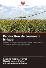 Production de tournesol irrigué