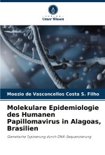 Molekulare Epidemiologie des Humanen Papillomavirus in Alagoas, Brasilien