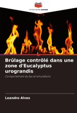 Br?lage contrôlé dans une zone d'Eucalyptus urograndis