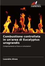 Combustione controllata in un'area di Eucalyptus urograndis