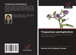 Tropaeolum pentaphyllum