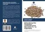 Behandlung Des Pulskäfers (Callosobruchus Maculatus F.) In Pigeonpea