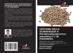 GESTIONE DELLO SCARAFAGGIO A PULSE(Callosobruchus maculatus F.) IN PIGEONPEA