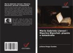 Maria Gabriela Llansol i Maurice Blanchot: pisanie o katastrofie