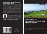 Przewodnik do studiowania rzeki i ?ród?a Margret Ogolla