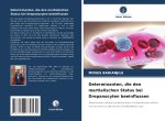 Determinanten, die den martialischen Status bei Drepanocyten beeinflussen