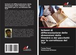 Schemi di differenziazione delle dimensioni delle finestre e dei pacchetti per la correttezza del TCP