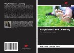 Playfulness and Learning