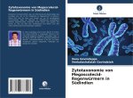 Zytotaxonomie von Megascolecid-Regenwürmern in Südindien