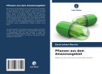 Pflanzen aus dem Amazonasgebiet