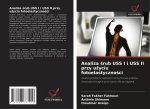 Analiza ?rub USS I i USS II przy u?yciu fotoelastyczno?ci