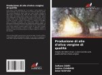 Produzione di olio d'oliva vergine di qualit?