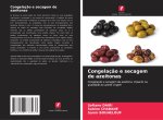 Congelaç?o e secagem de azeitonas
