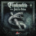Frankenstein und der Zirkel der Sieben - Gott der Medizin, 1 Audio-CD