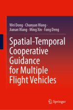 Spatial-Temporal Cooperative Guidance for Multiple Flight Vehicles