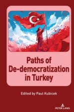 Paths of De-democratization in Turkey