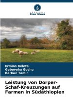 Leistung von Dorper-Schaf-Kreuzungen auf Farmen in Südäthiopien