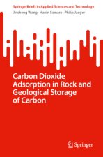 Carbon Dioxide Adsorption in Rock and Geological Storage of Carbon