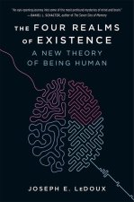 FOUR REALMS OF EXISTENCE