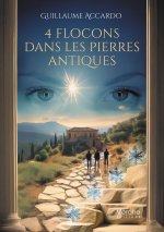 4 flocons dans les pierres antiques