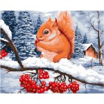 Malowanie po numerach Wiewiórka 40x50 cm