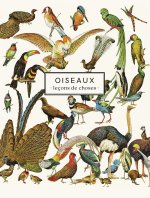 CARNET OISEAUX