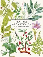 CARNET PLANTES AROMATIQUES