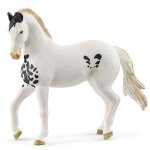 Ogier Marwari Horse Club SLH14898