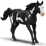 Wałach Rasy Paint Horse Club SLH14900