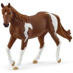 Klacz Paint Horse Club SLH14901