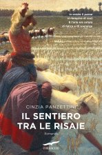 sentiero tra le risaie