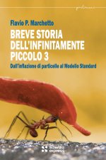 Breve storia dell'infinitamente piccolo