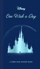 Disney One Wish a Day
