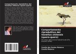 Comportamento riproduttivo del Vanellus chilensis (quero-quero)