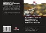 Apoptose au cours du développement embryonnaire des amphibiens anoures