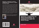 Alcançar a segurança na África Subsariana, as ameaças e o papel do Reino Unido