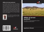 Affitto di terreni pastorali