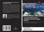 Tectonosedimentary evolution of the Cuiabá Group