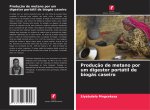 Produç?o de metano por um digestor portátil de biogás caseiro