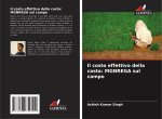 Il costo effettivo della casta: MGNREGA sul campo
