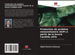 Production de protéine monocellulaire (SCP) ? partir de la levure Candida utilis