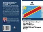 Den Kongo trockenlegen: Die politisch-wirtschaftlichen Misserfolge in der Demokratischen Republik Kongo