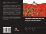 Vertiges d'origine métabolique et rééducation vestibulaire