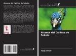 Alcance del Califato de Sokoto