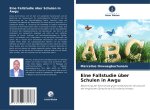 Eine Fallstudie über Schulen in Awgu