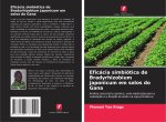 Eficácia simbiótica de Bradyrhizobium japonicum em solos do Gana