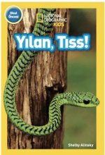 Yilan, Tiss