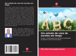 Um estudo de caso de escolas em Awgu