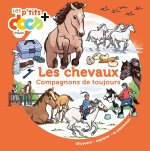 Les chevaux