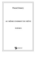 Au même endroit du rêve